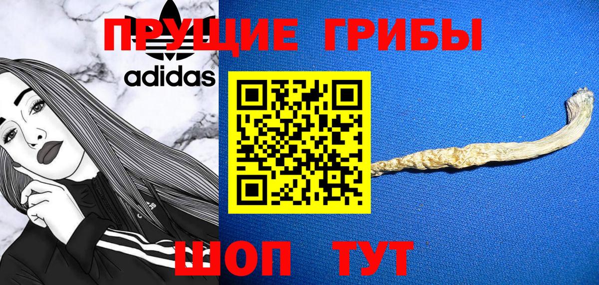 Галлюциногенные грибы Psilocybe Торжок