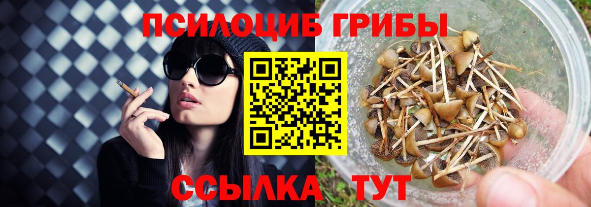Псилоцибиновые грибы мицелий  Вход с VPN  Торжок 